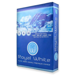 Papier A4 80g štandard